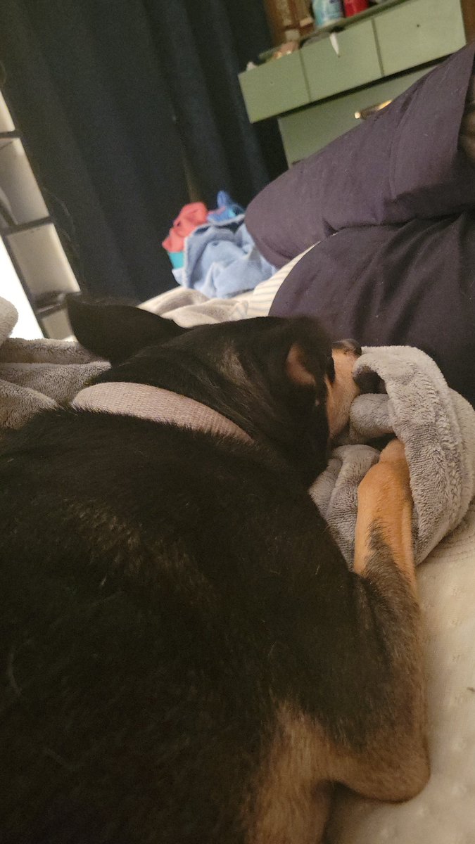 highblinddumb's tweet photo. @taysaunders12 no he's just sleeping https://t.co/JQtrEMiygk