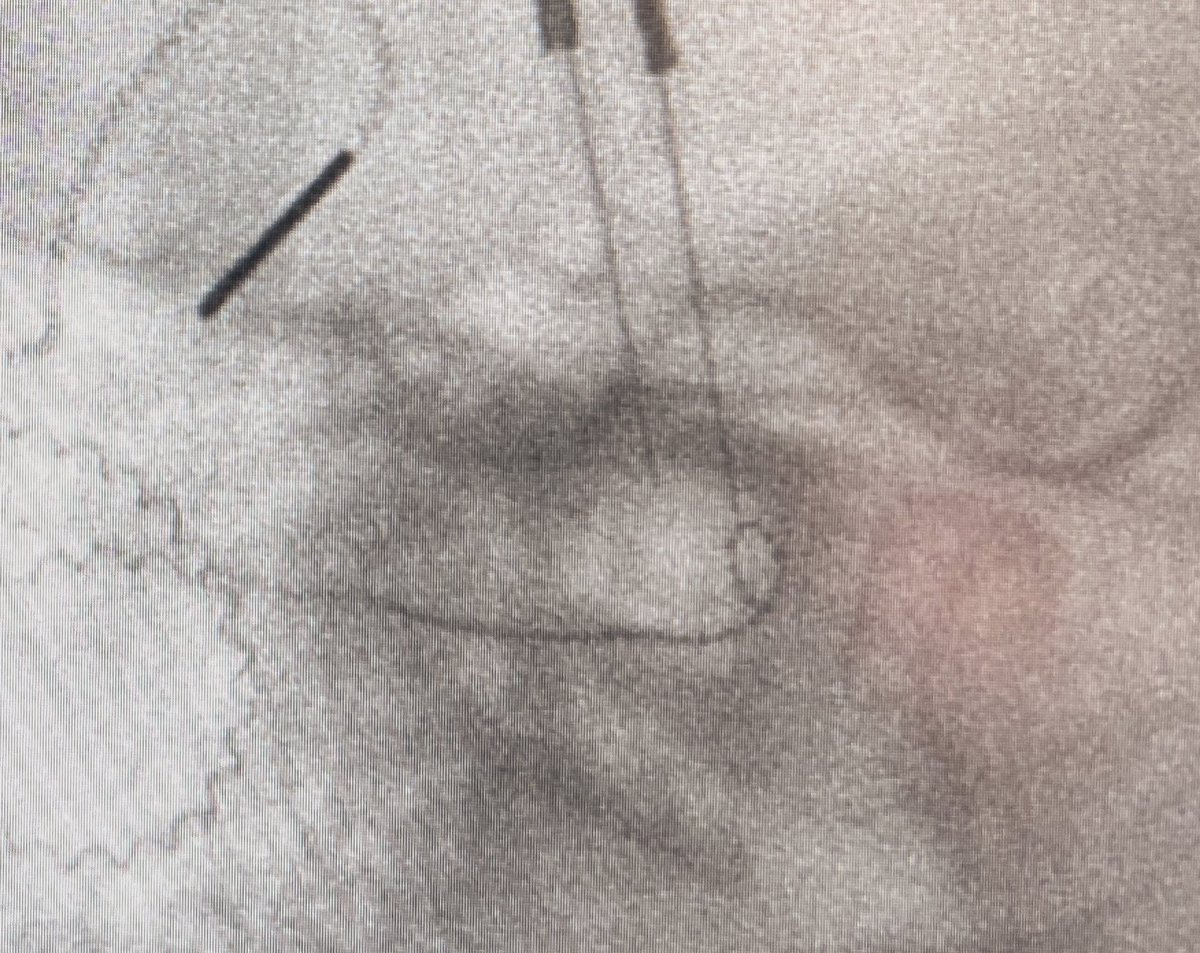 Dr Johnson Huang tweet media