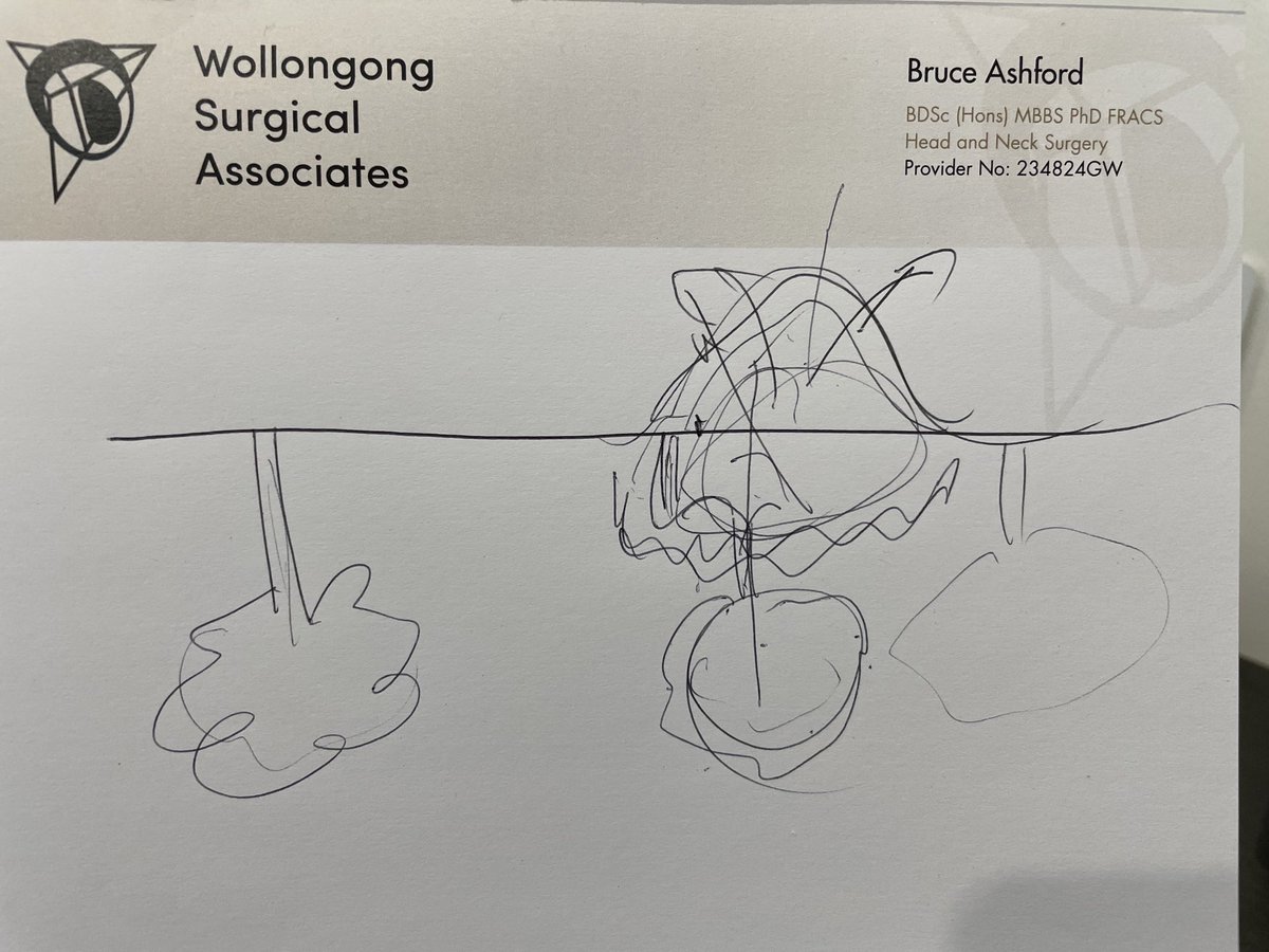 Bruce Ashford tweet media