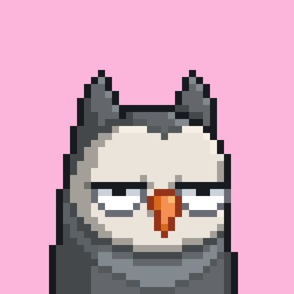 NFT_Unker's tweet photo. Any Day 1 Nestor Sad birbs like him still waiting for his cap and stickers? 

#stuckinchicago

@moonbirds @kevinrose @JustinMezzell https://t.co/iCEEaSuQD1