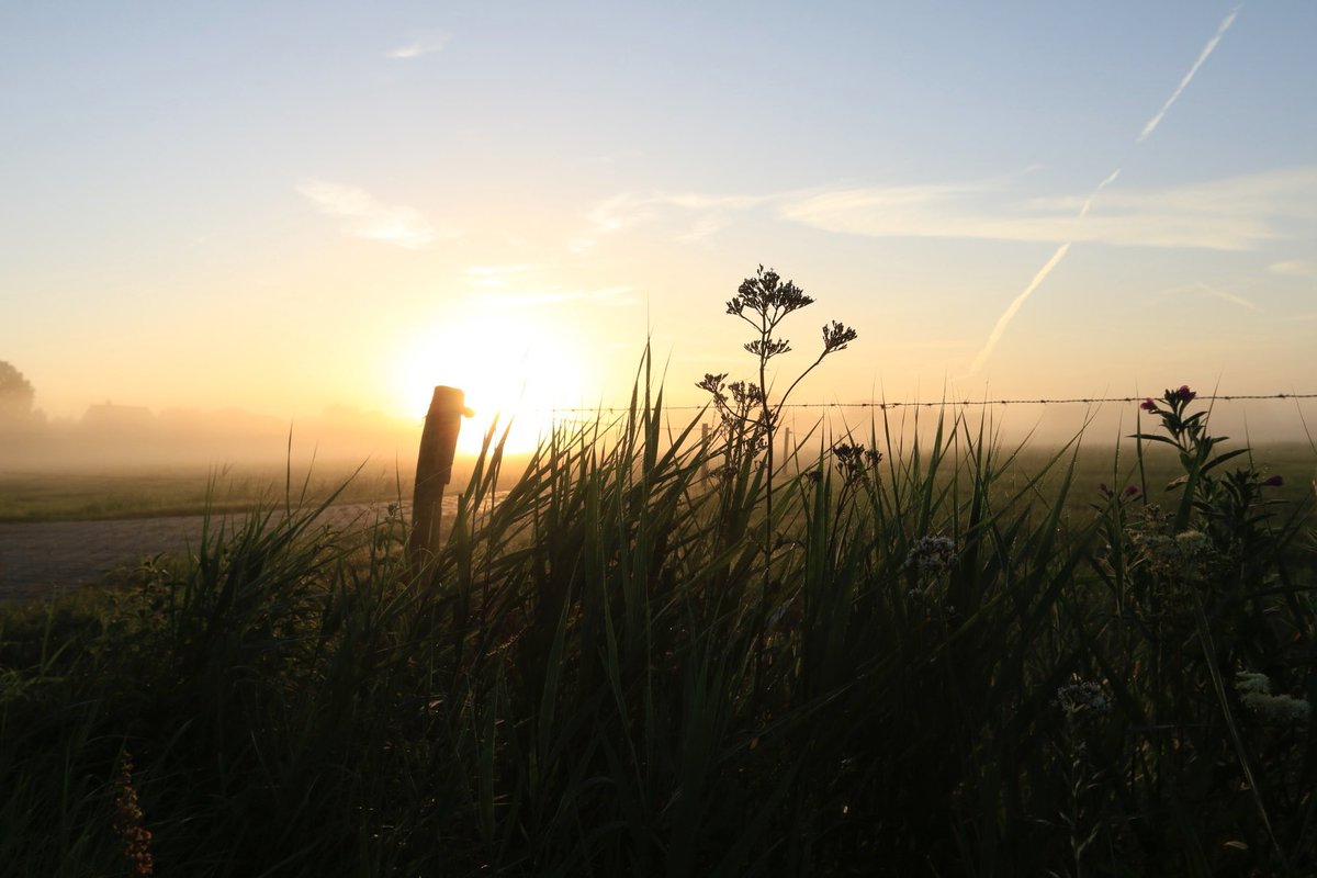 san970's tweet photo. 14 juli de #zonsopgang https://t.co/MTKTasuY1O