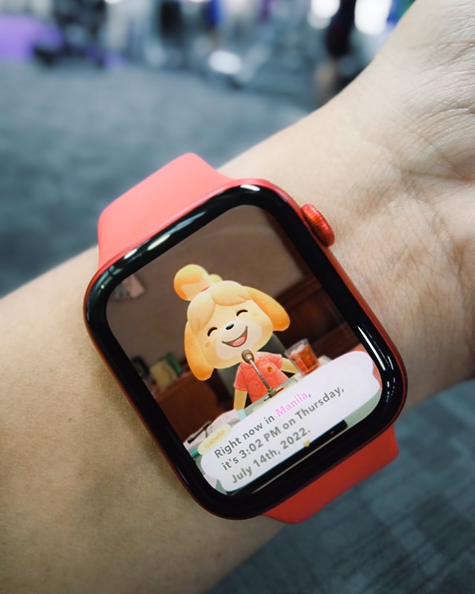 warrencamitan's tweet photo. Hi Isabelle 🏝 #AnimalCrossingNewHorizons https://t.co/OG3KGWXawF
