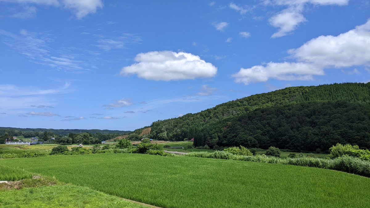 fum421's tweet photo. 今日日経上がるんや…
もうよくわからん…… https://t.co/nsOjS126w7