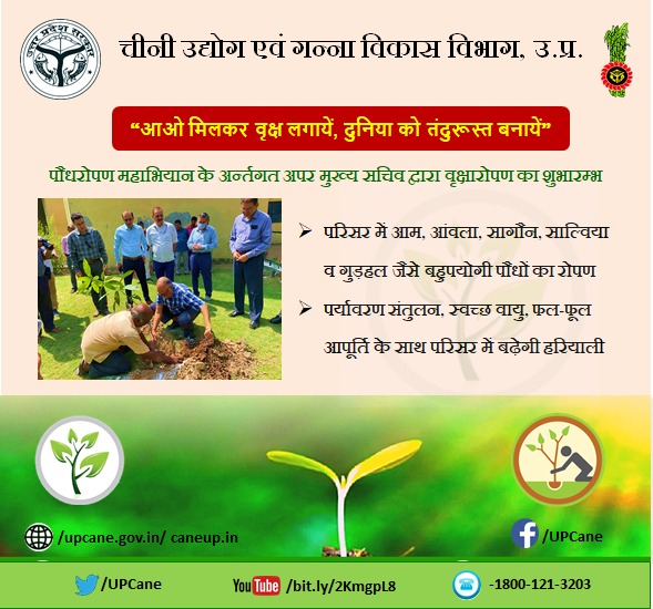 "आओ मिलकर वृक्ष लगायें, दुनिया को तंदुरूस्त बनायें"
#upcane
<a href="/UPCane/">Cane Development UP</a> 
<a href="/UPGovt/">Government of UP</a> 
<a href="/CMOfficeUP/">CM Office, GoUP</a> 
<a href="/InfoDeptUP/">Information and Public Relations Department, UP</a>
