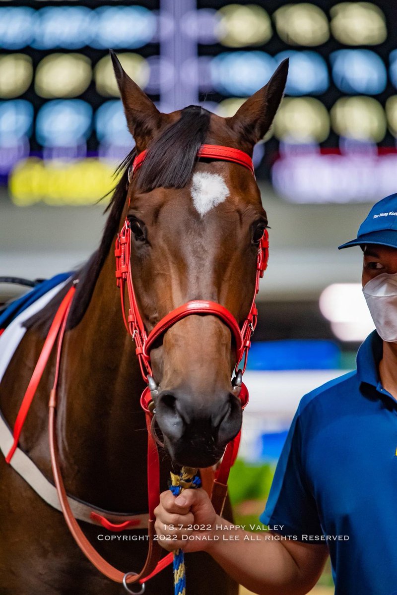 LeeMingDonald's tweet photo. 13.7.2022 Happy Valley
Race 6 Class 4 1200m
Hero Star #PoonTrain
#HKracing #Horseracing #Jockey #HappyValley #競馬 https://t.co/PgyTLESkXJ