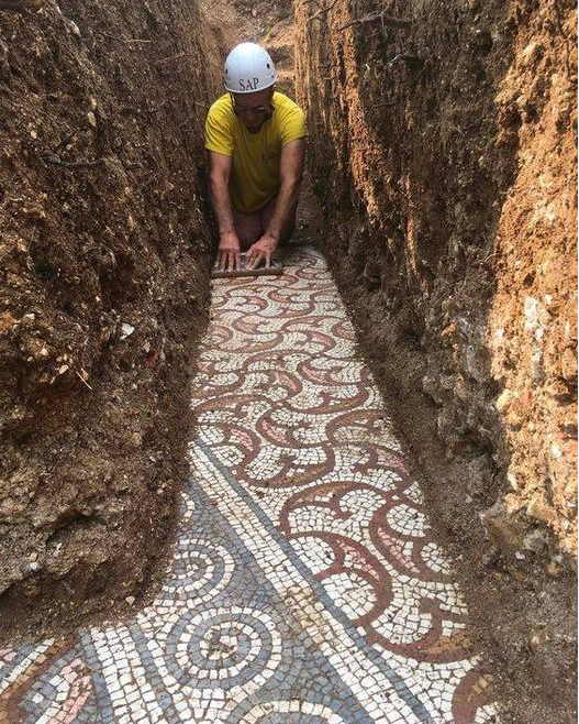 ancientorigins's tweet photo. A beautiful well preserved mosaic was discovered while digging between vineyards near Northern Italian city of Verona, The mosaics dates back to around 250-400 AD and probably once was part of an ancient Roman villa.

https://t.co/em60tarFT9 https://t.co/37YsxDsXz6