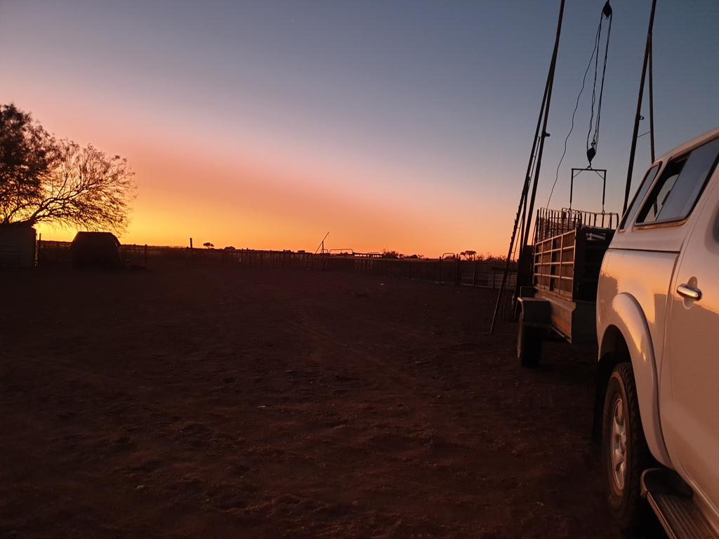 Surethaplaas's tweet photo. Wie ry saam... #myboer  #framlife #farm #dorp #skaap #geelkop #kalaharikind #kalahari #onsglo #liefde #flower #blom #love https://t.co/gSDSeF4jGe