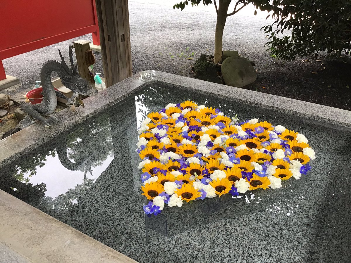 fusebenten's tweet photo. 7月の花手水はこちらです！夏らしくひまわりがたくさん散りばめられたハートになりました🌻 ポイントで入っている2種類の小さいお花も可愛いので、ご来山の際はぜひじっくりご覧になってください😊コロナの再拡大も心配ですが、熱中症等にもならないよう皆様ご自愛ください☀️
#布施弁天 #柏市 #花手水 https://t.co/toyluo2FWU