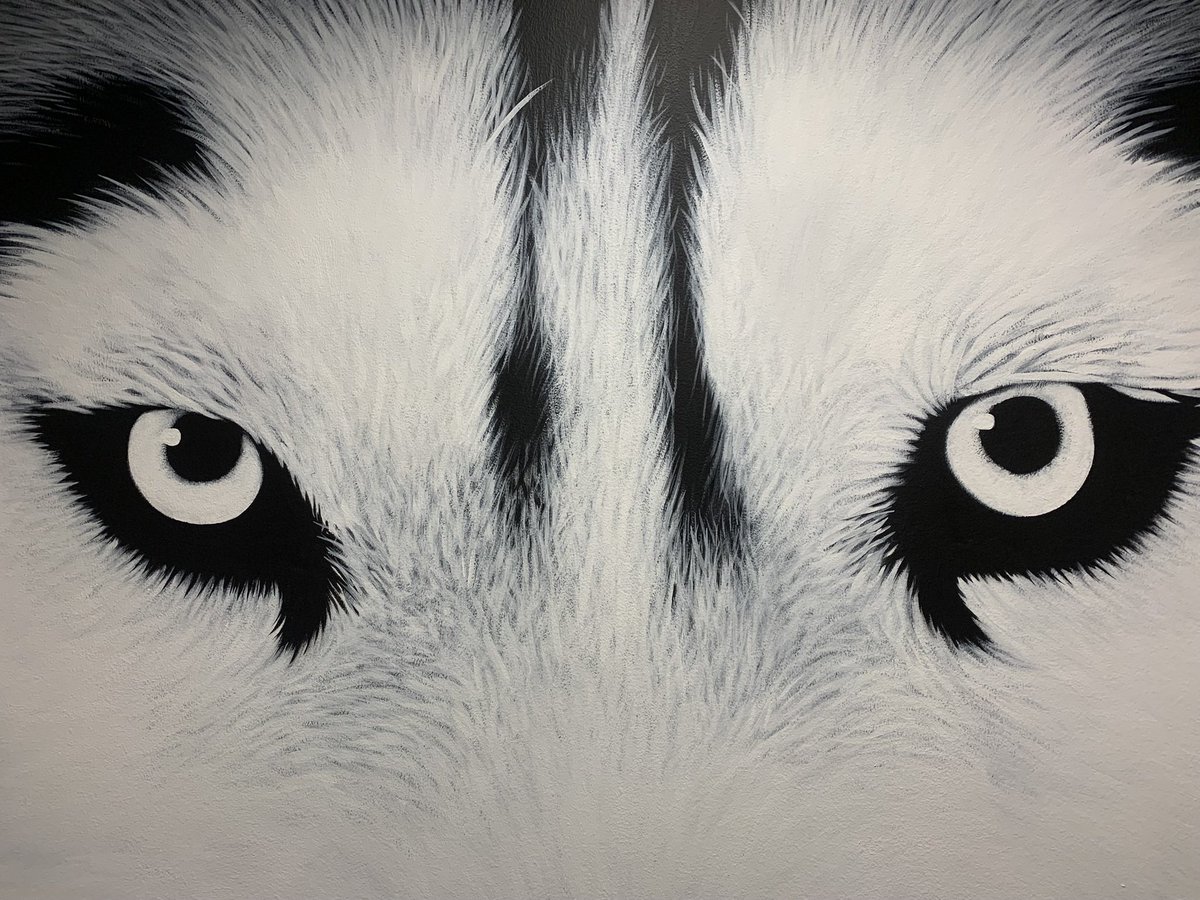 UW_WSoccer's tweet photo. Season will be here soon! 😤 https://t.co/fIly4ZrXei