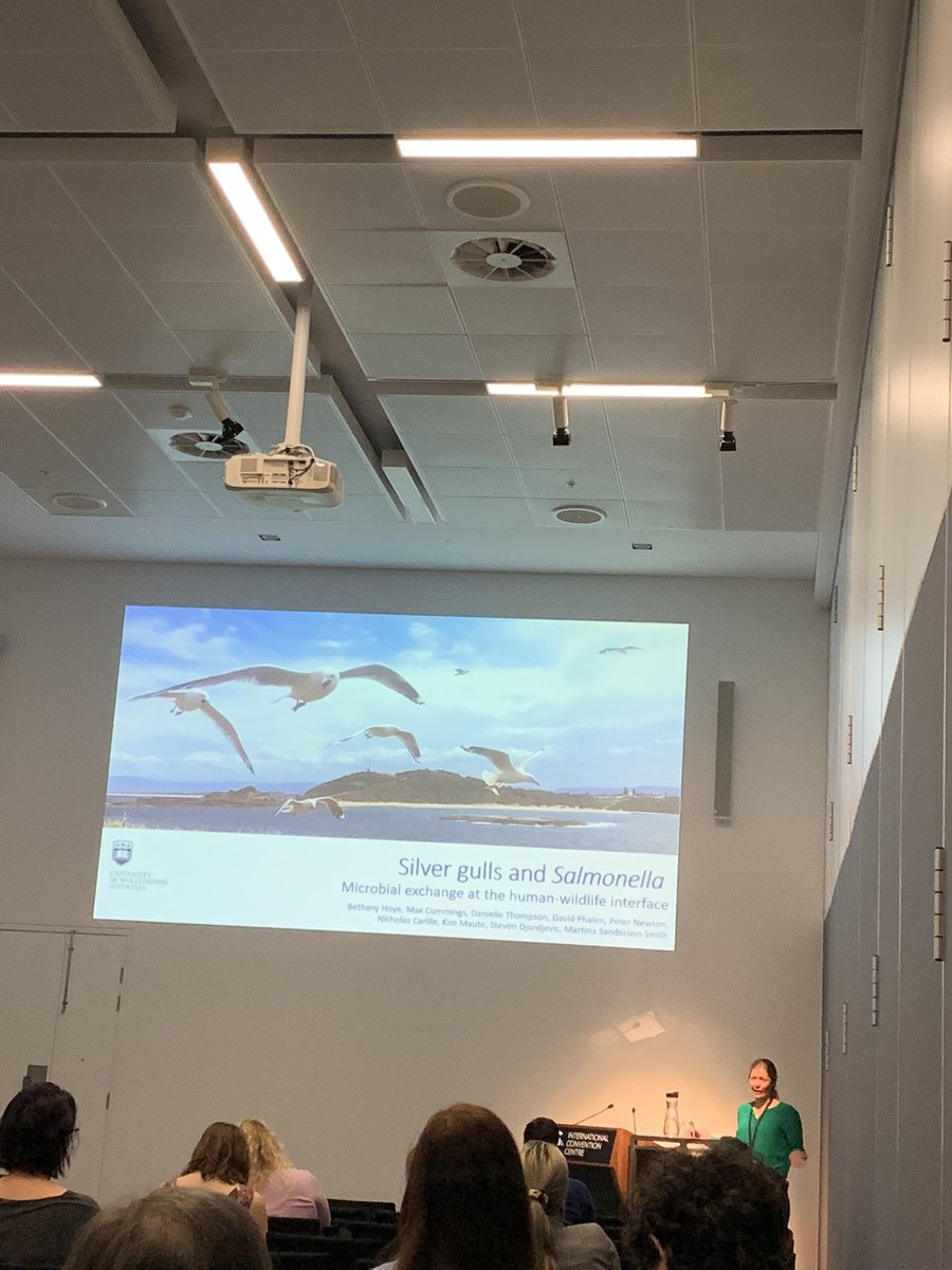EmmaJProctor's tweet image. UOW representation at the #2022ASM conference! @Anuk_Indra  @panna__zancia @gokhan_tolun  @bethanyhoye  @DrmartinaS @uowresearch @ihmri @MolHorizons