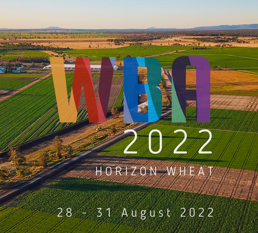It's not too late! Early-bird registration for the Wheat Breeder's Assembly closes today. Join us in beautiful #Narrabri this August #WBA2022  eventstudio.eventsair.com/wba-2022/regis…