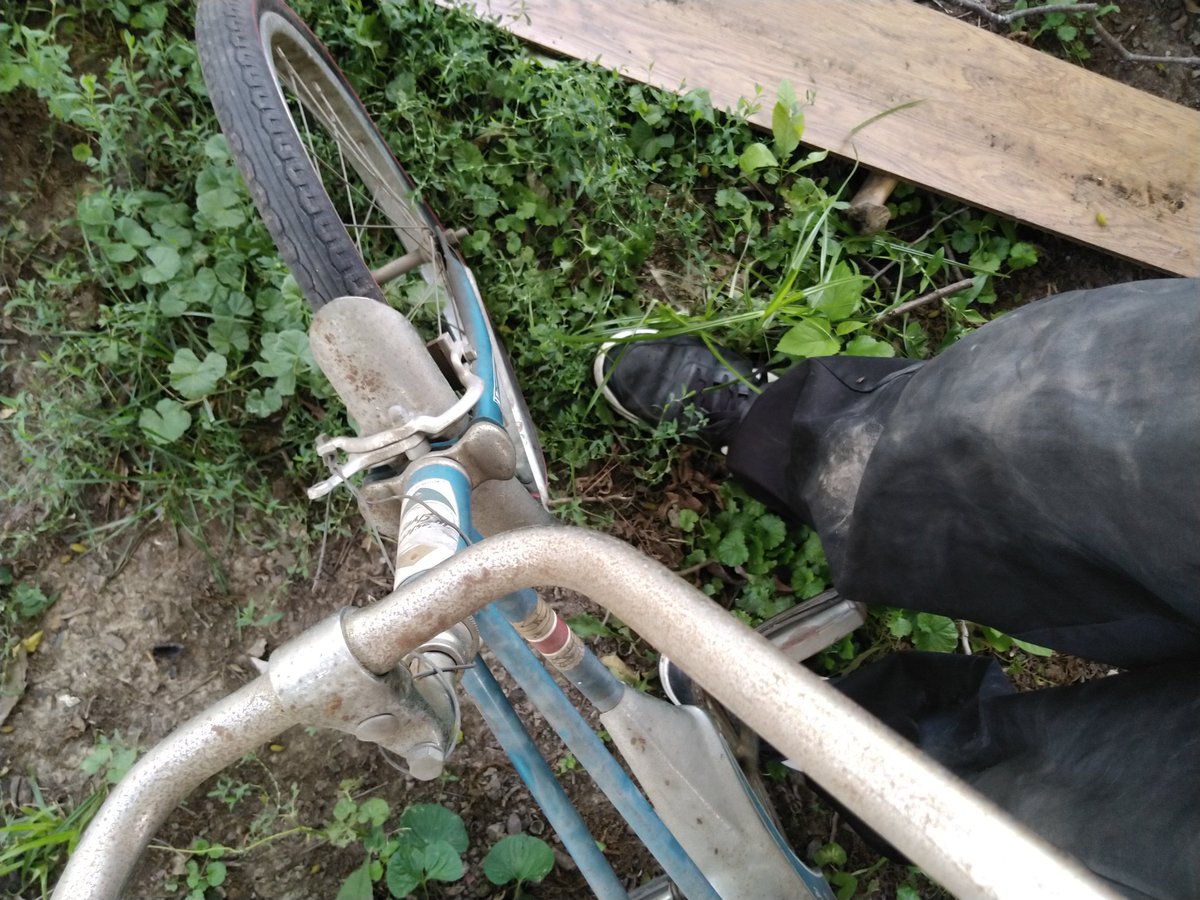 ietspace's tweet photo. Got this sick old school bicycle today absolutely free from the side of the road posted "FREE" this thing is bad ass.. 

#vintage #bicycle #free https://t.co/aD7ylYTSct
