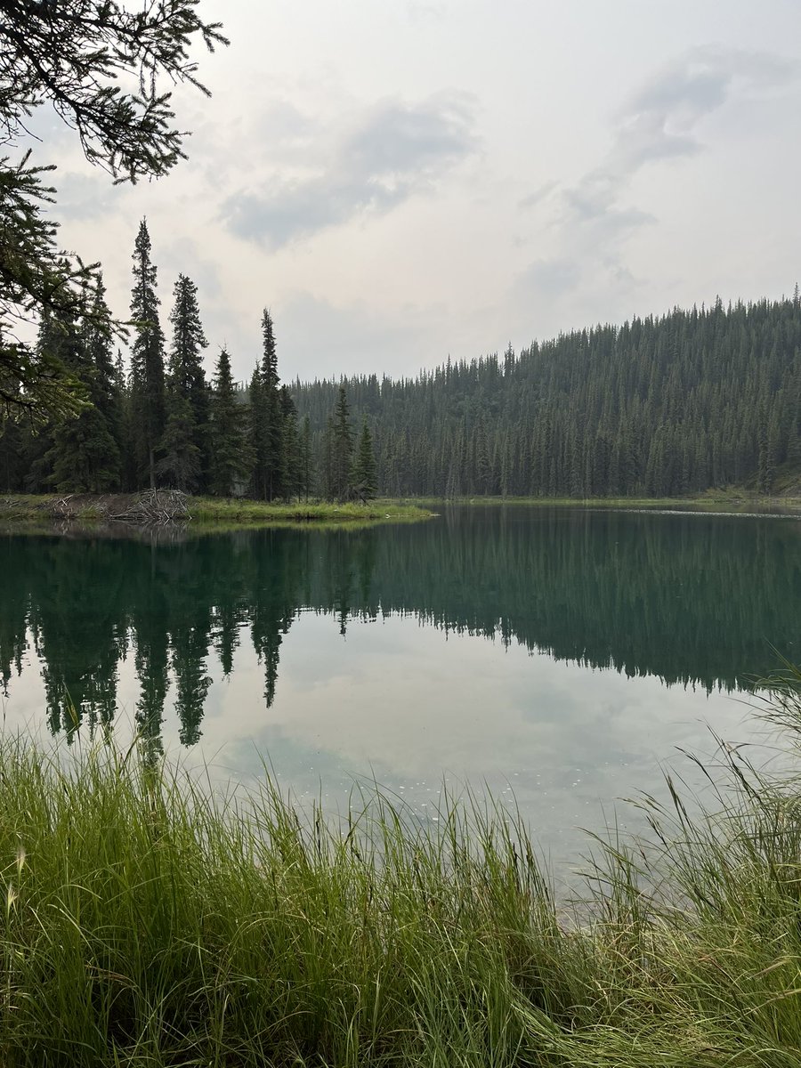SShteyer's tweet photo. We made it to Alaska!
For the next 2 weeks you cant find me, I am off grid, enjoying fresh air and relaxing. #Travel #BucketList https://t.co/Xj8XYy6nQ3