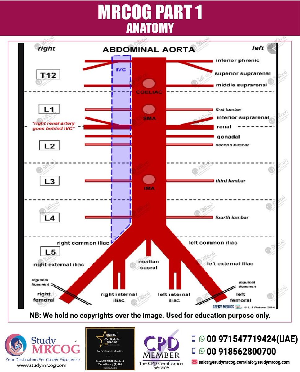 Study_MEDIC's tweet photo. #MRCOGPart1 #Anatomy #StudyMEDIC #StudyMRCOG https://t.co/JJZLIWqDQV
