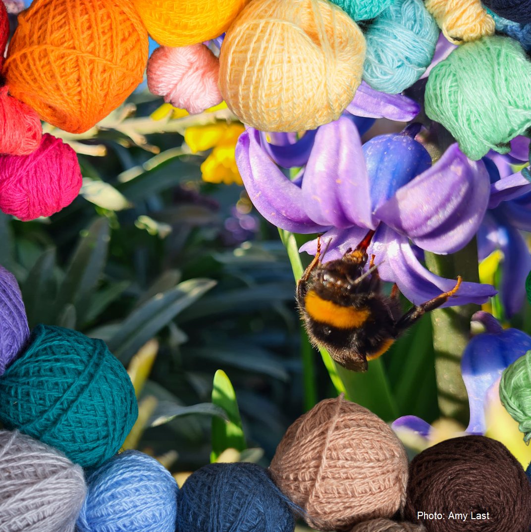 BumblebeeTrust's tweet photo. The @knitting_net 🧶 chose the Trust as their 'Charity of the Month' in June. Customers had the option to donate at check-out when placing an order, and any donations were matched. So, 'wool' you believe they raised a total of £1,417.52! A huge #thankyou 

#Knitting #Wool #Yarn https://t.co/EbhjYU4tPe