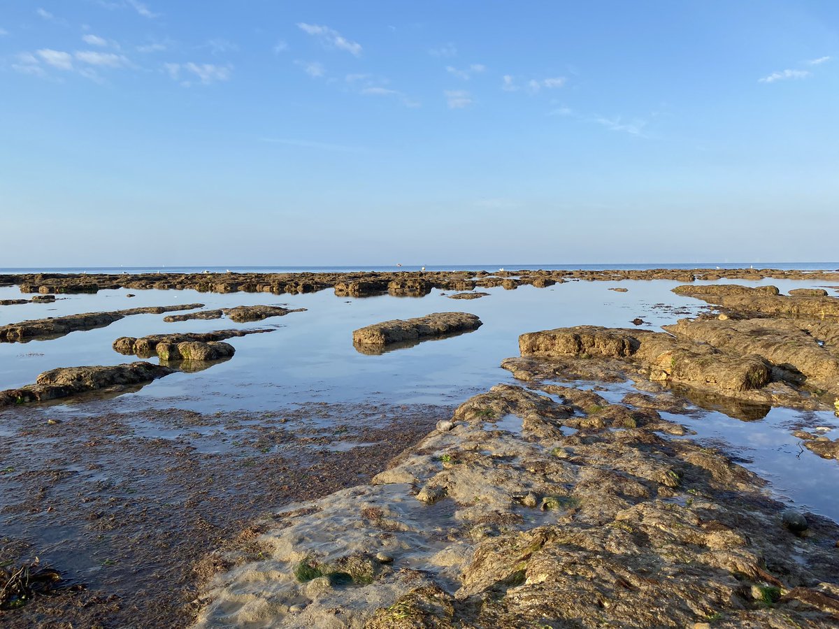 preceptormel's tweet photo. After lying awake most of the night, hot & scratching all my insect bites, got out for an early run & was rewarded with these views 🌅 #Undercliff https://t.co/o7vlql2iun