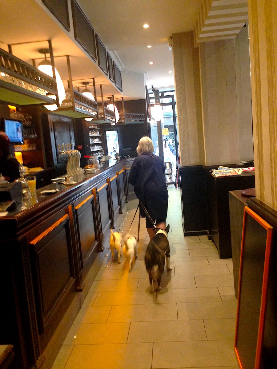 focusonparis's tweet photo. Woman with dogs: it's not unusual to see #dogs inside #pariscafes. #montmartre #summerinparis #dogsofparis #cafesofparis https://t.co/fVjudwvnHj https://t.co/s60zOz12KE
