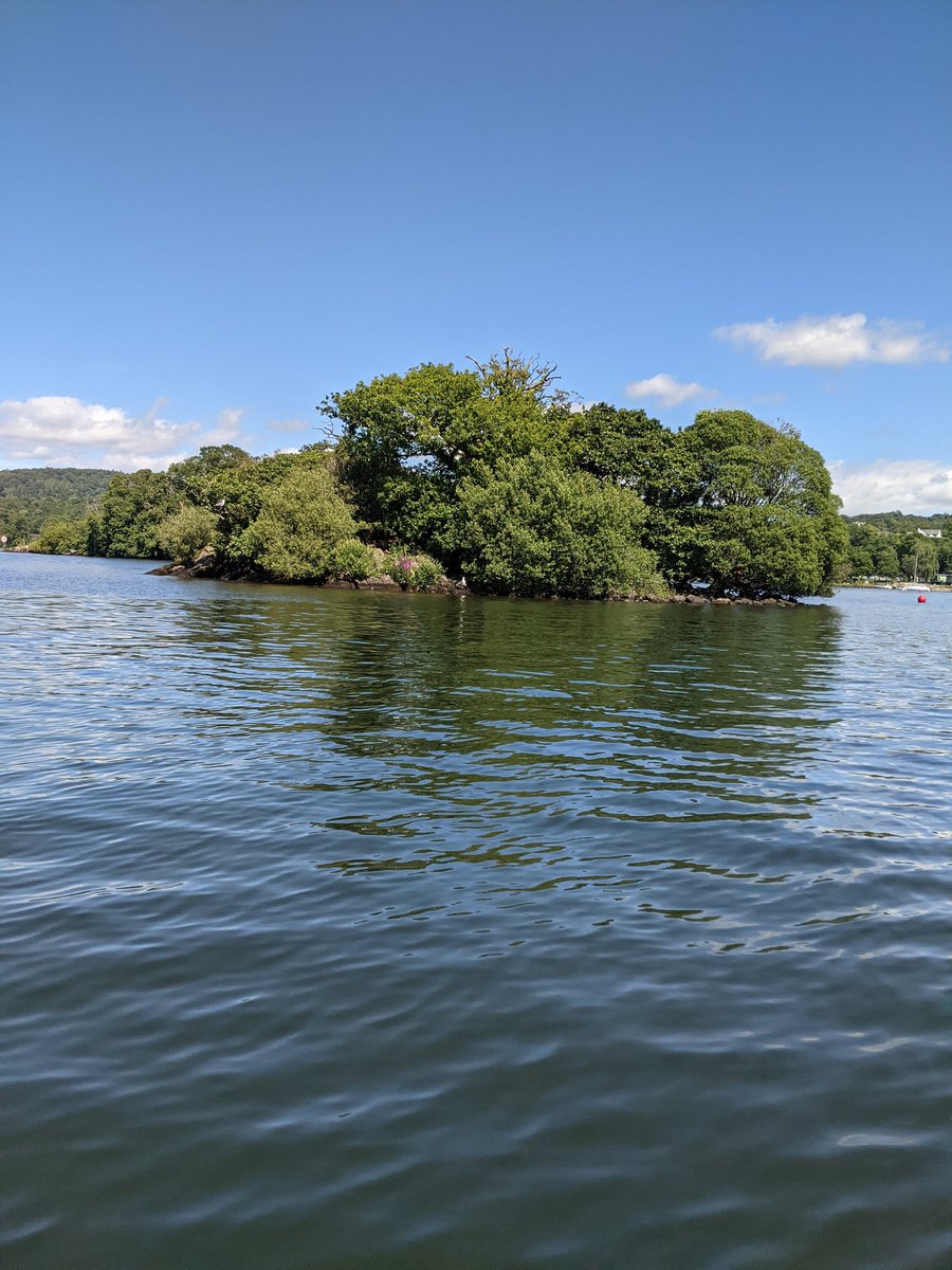 Lisa Bickerstaffe tweet media