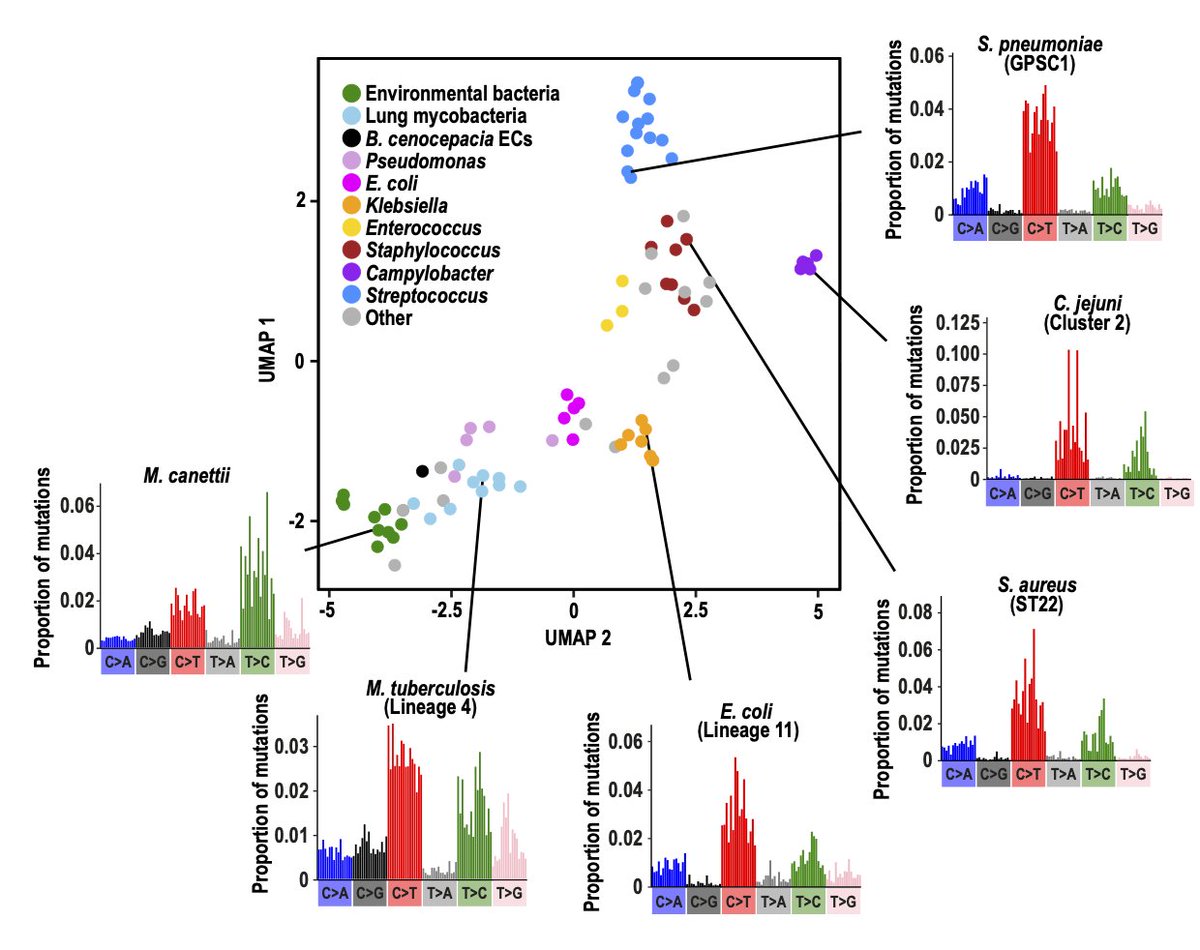 🚨 Our new preprint is up 🚨

biorxiv.org/content/10.110…

We show that we can use mutational spectra to predict bacterial niche and transmission routes

Thread below 🧵 1/14