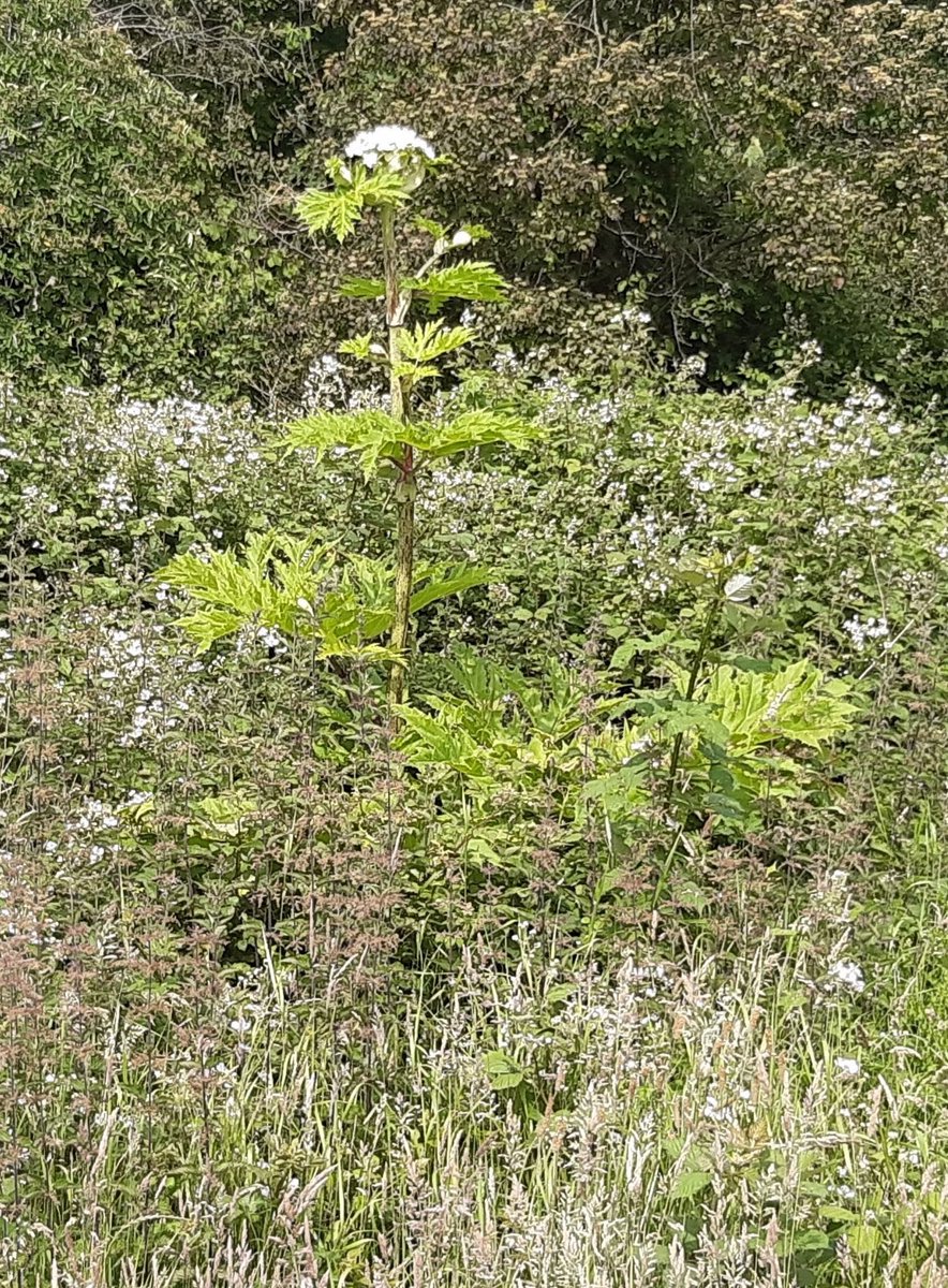 Adur & Worthing Councils tweet media