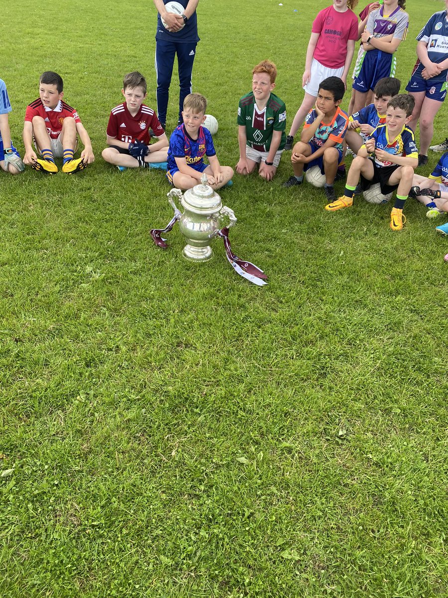 Tommy Gallagher tweet media