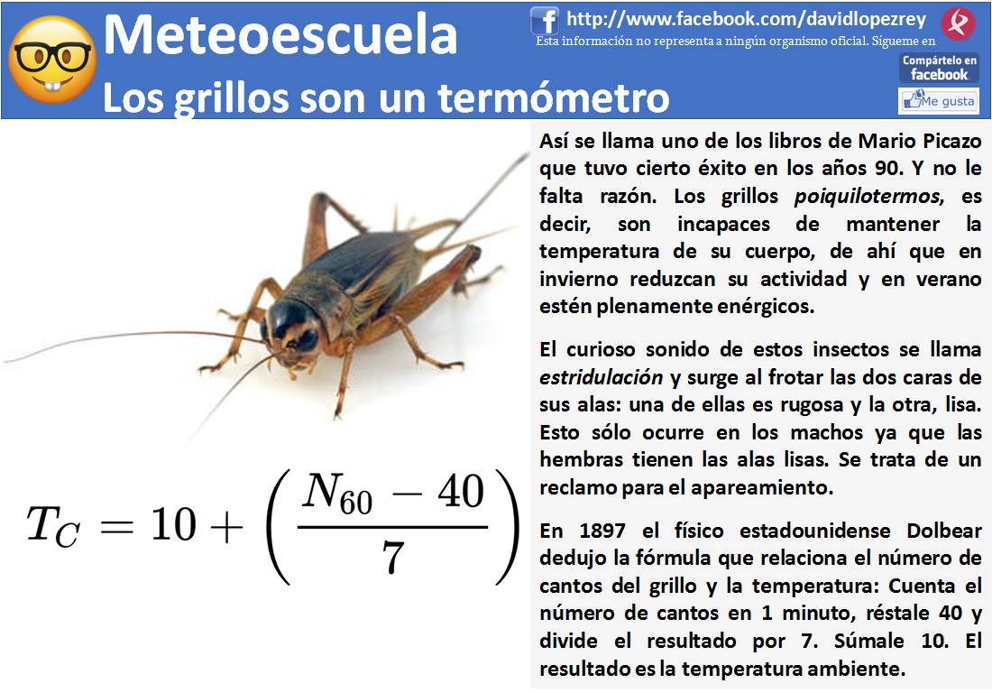 Proporcional Minero despierta onomatopeya del grillo Continental Fuerza fiesta