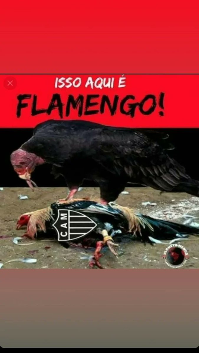 TuretaIvanice's tweet photo. Clube de Regatas do Flamengo
#Flamengo #arrascaeta #IssoAquiVaiVirarUmInferno #IssoaquiEFlamengo https://t.co/ZeH5Rp1Ojf