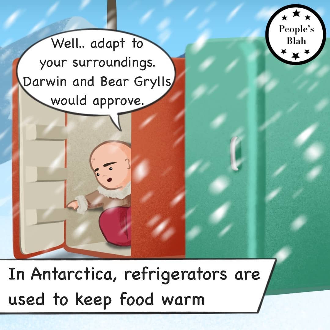 BaBlahComics's tweet photo. Pro tip on surviving in Antarctica : Own a fridge ✔️

The Scenes presented in this post are purely fictious 🙊😂

#comicgram #comicsdaily #comicillustration #digitalcomic #comicbook  #funnycomics #funnycomic https://t.co/TvLKjg4XB6