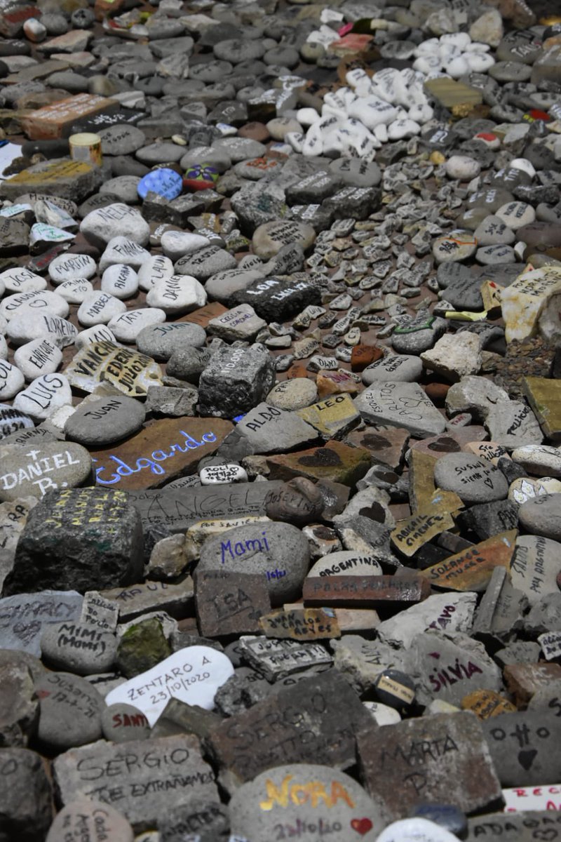 Carlos Kambourian tweet media