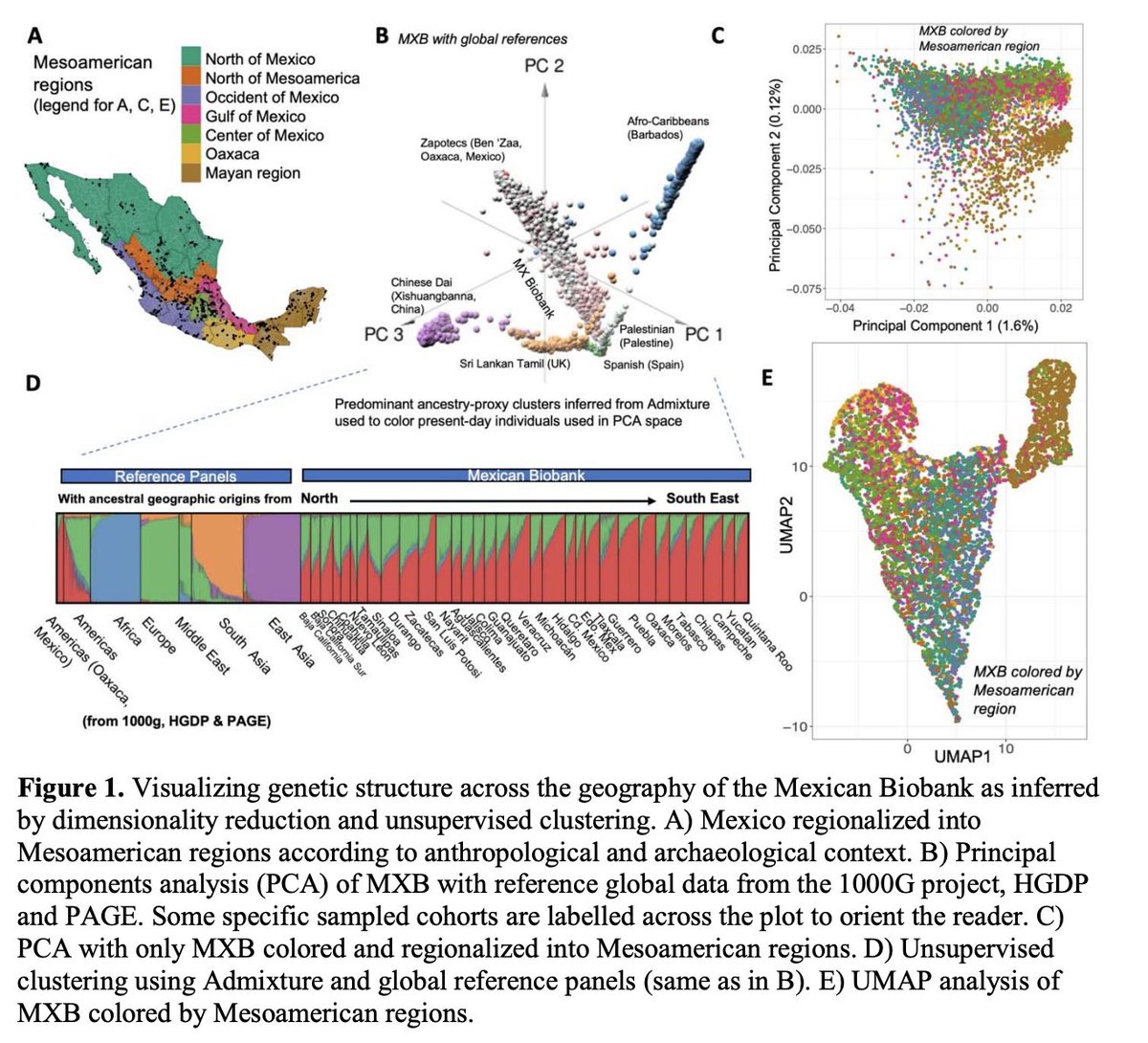 Joe Pickrell tweet media