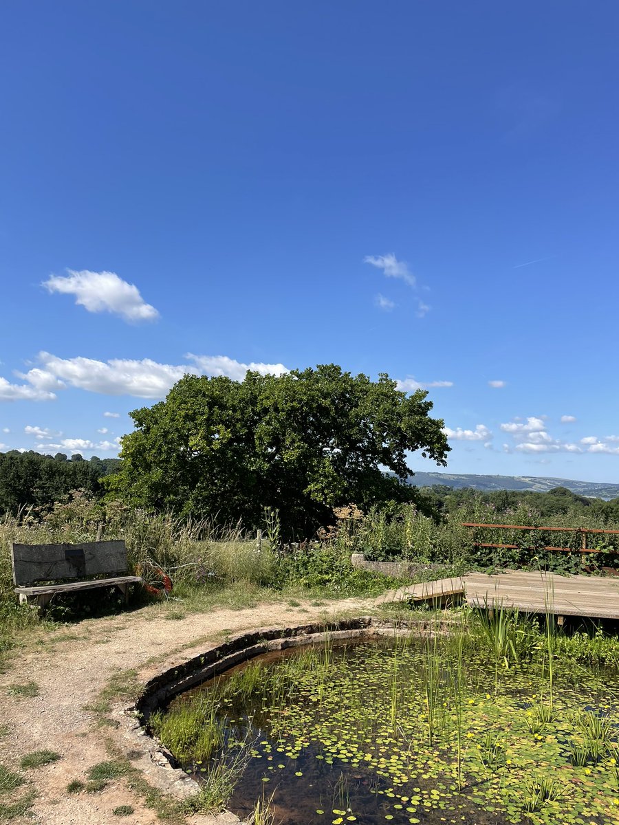 TootHillScience's tweet photo. Enjoying our last morning @follyfarmcentre @avonwt ☀️ #alevelbiologyfieldtrip https://t.co/BfZSVSdsXa