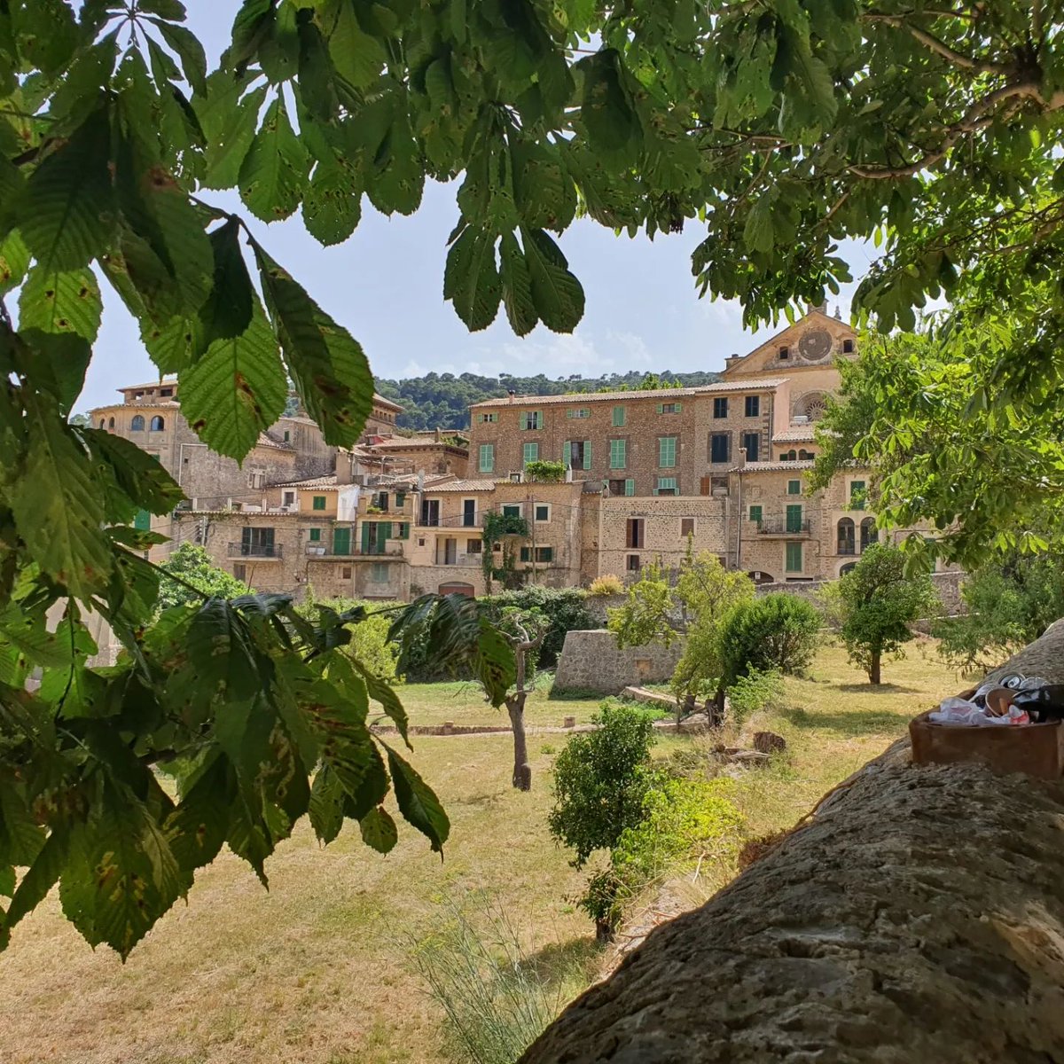 VisitValldemoss's tweet image. 🔹 “La integridad revela la belleza.” – Thomas Leonard. 🌿

🔹 "Integrity reveals beauty." – Thomas Leonard. 🏘️

🔹 “La integritat revela la bellesa.” – Thomas Leonard. 🌿

🔹 "Uczciwość ujawnia piękno". – Thomas Leonard. 🏘️