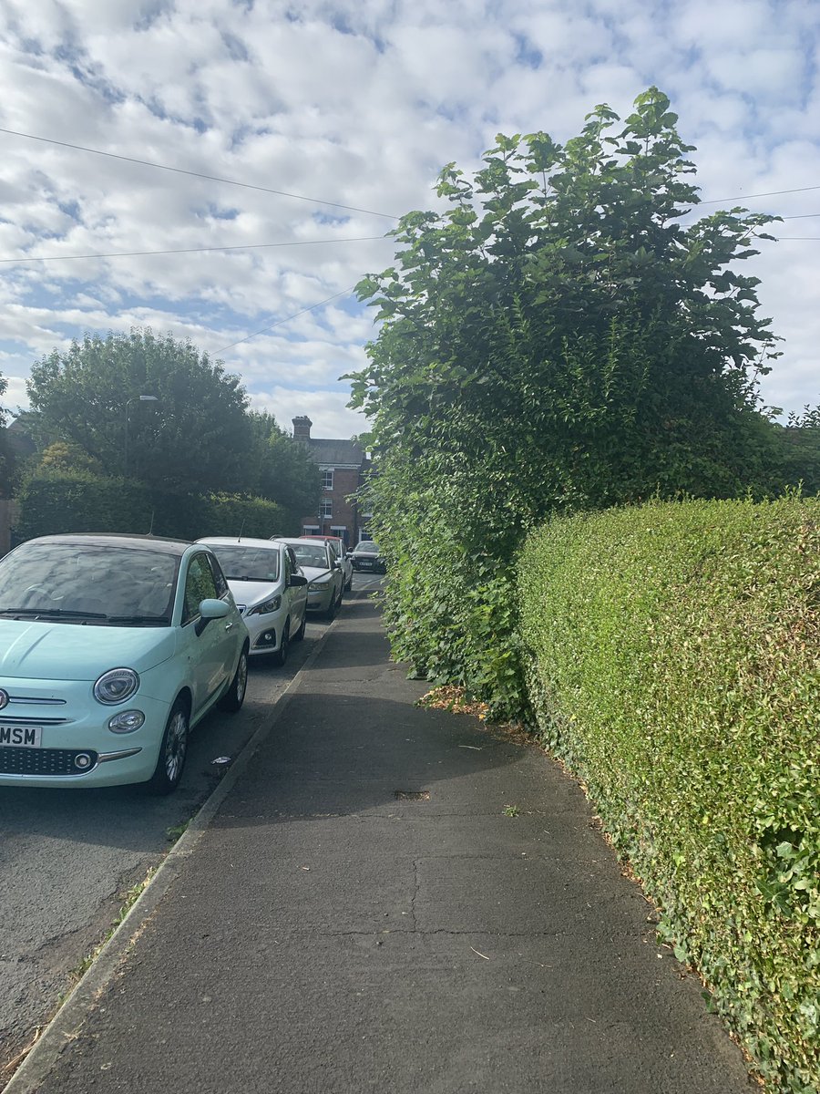 jo_cunningham's tweet photo. @ShropCouncil @angie4509 @ShropCouncil hedges are still causing problems for people with accessibility needs - no action has been taken. Shame your premises are the ones letting the neighbourhood down! https://t.co/NEV0FOpldX