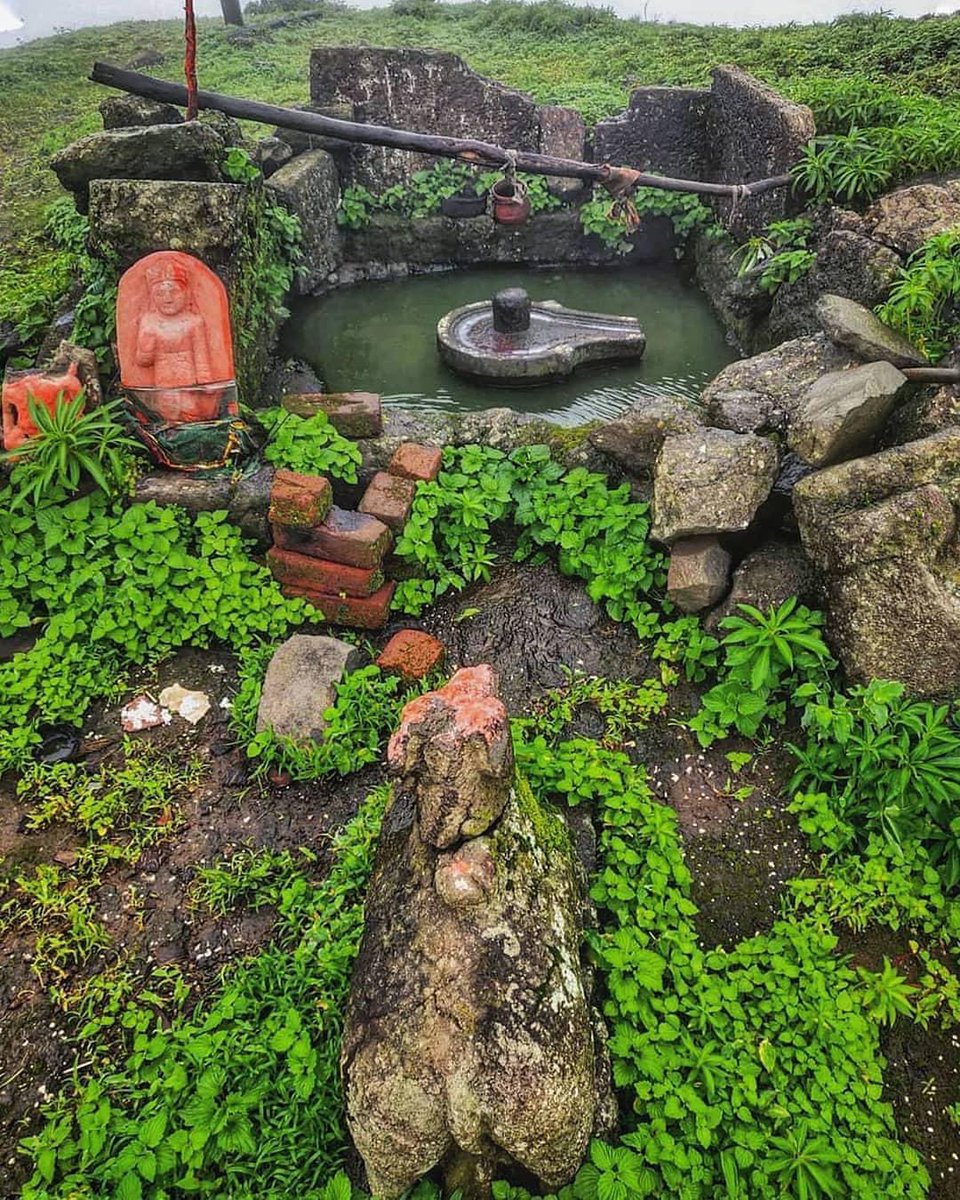 imravish12's tweet photo. देवों के देव महादेव जी का अति प्रिय पावन  'श्रावण मास' आज से प्रारंभ हो रहा है।

भगवान भोलेनाथ की असीम अनुकंपा हम सभी पर बनी रहे। सम्पूर्ण विश्व का कल्याण हो।

जय भोलेनाथ! https://t.co/dKGj3LwO9F