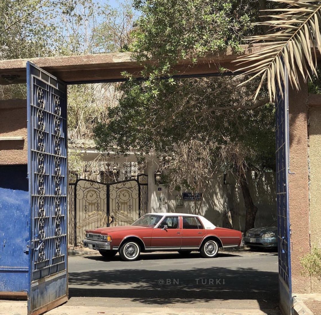 عمار ياصرحٍ طواه الزمن طي 
مثل الحطب قامت تصرّم سنينه 
.
واقفا بمن سمح النوايا لهم زي 
زيٍ  يليق بمستوى .. لابسينه 
.
عليهم اجبر خاطري في تعازي 
وان حن قلبي قمت اترجم حنينه 
.
قلبٍ نضج ماعاد به مرفقٍ  ني
مسويه مشبوه الزمان وعوينه 
.
#سالم_الطحش_المخلفي