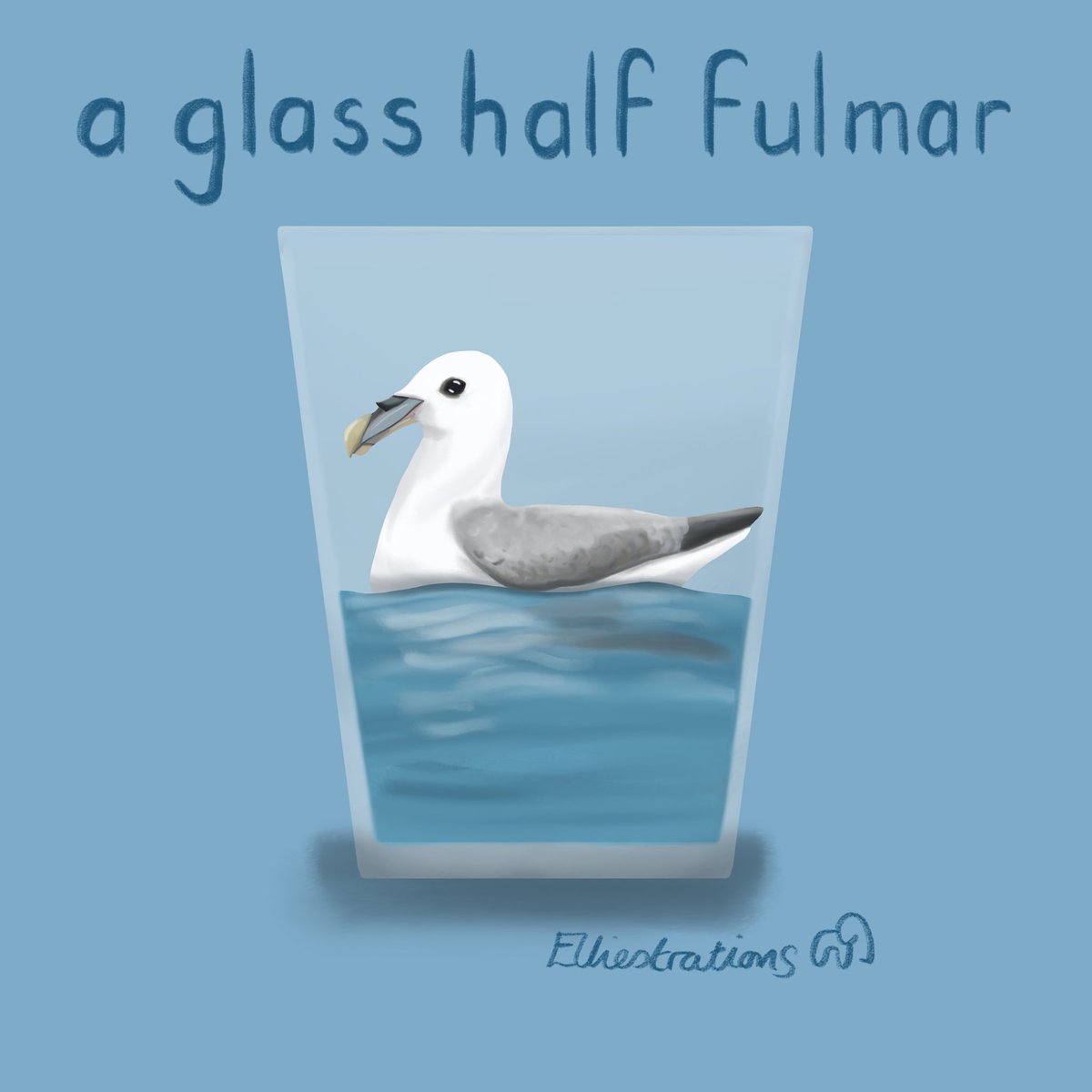 Enor314's tweet image. Bit of Thursday optimism - going to try and have a glass half ful-mar attitude! (Because I generally hate Thursdays) #fulmar #birds #seabirds #glasshalffull