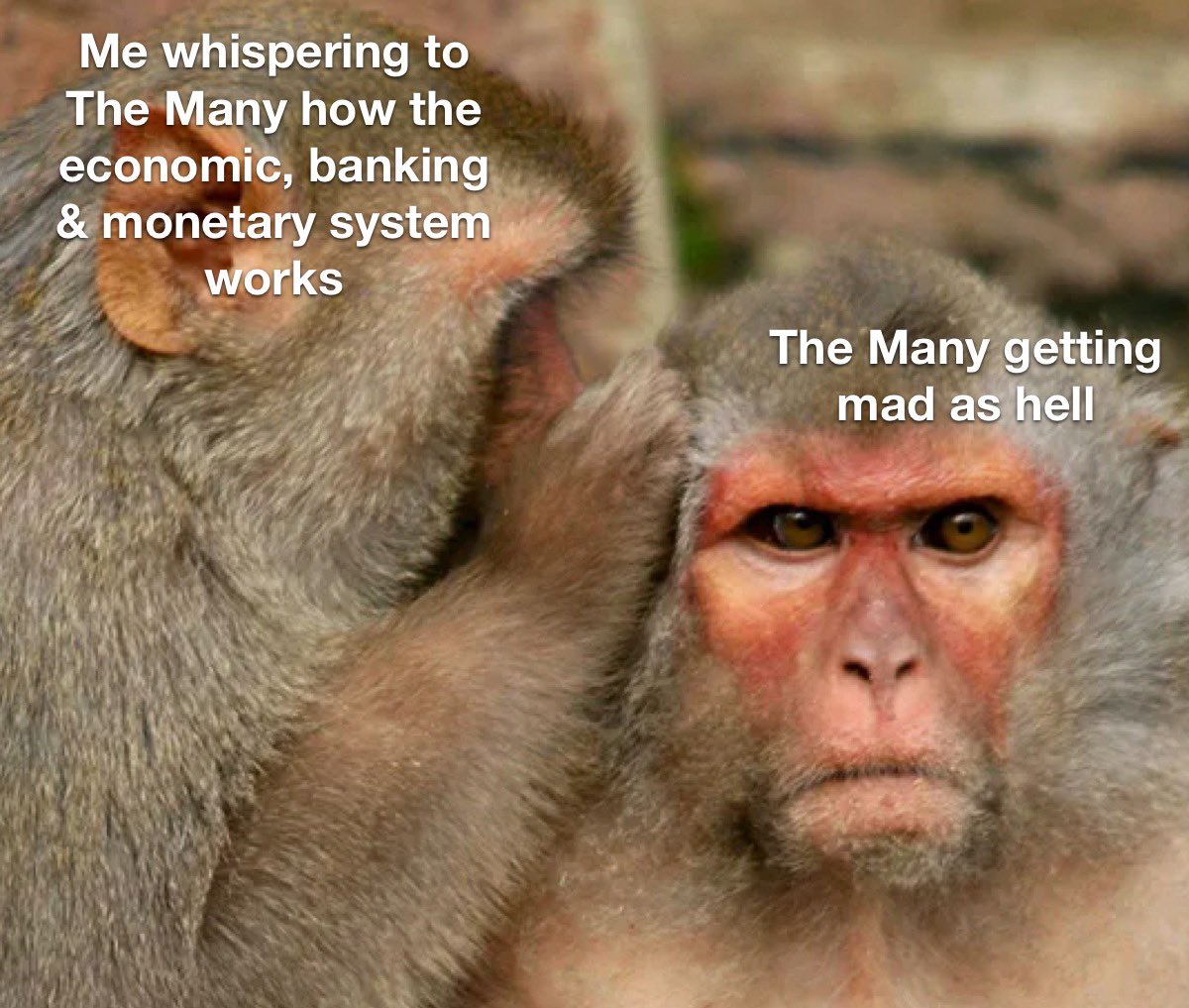 MrOmodulus's tweet photo. https://t.co/i8IO4B4TcV