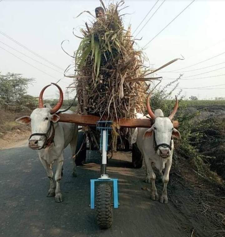 Great work❤️

To avoid load pressure on bulls  this farmer added extra wheel front side bullock cart.