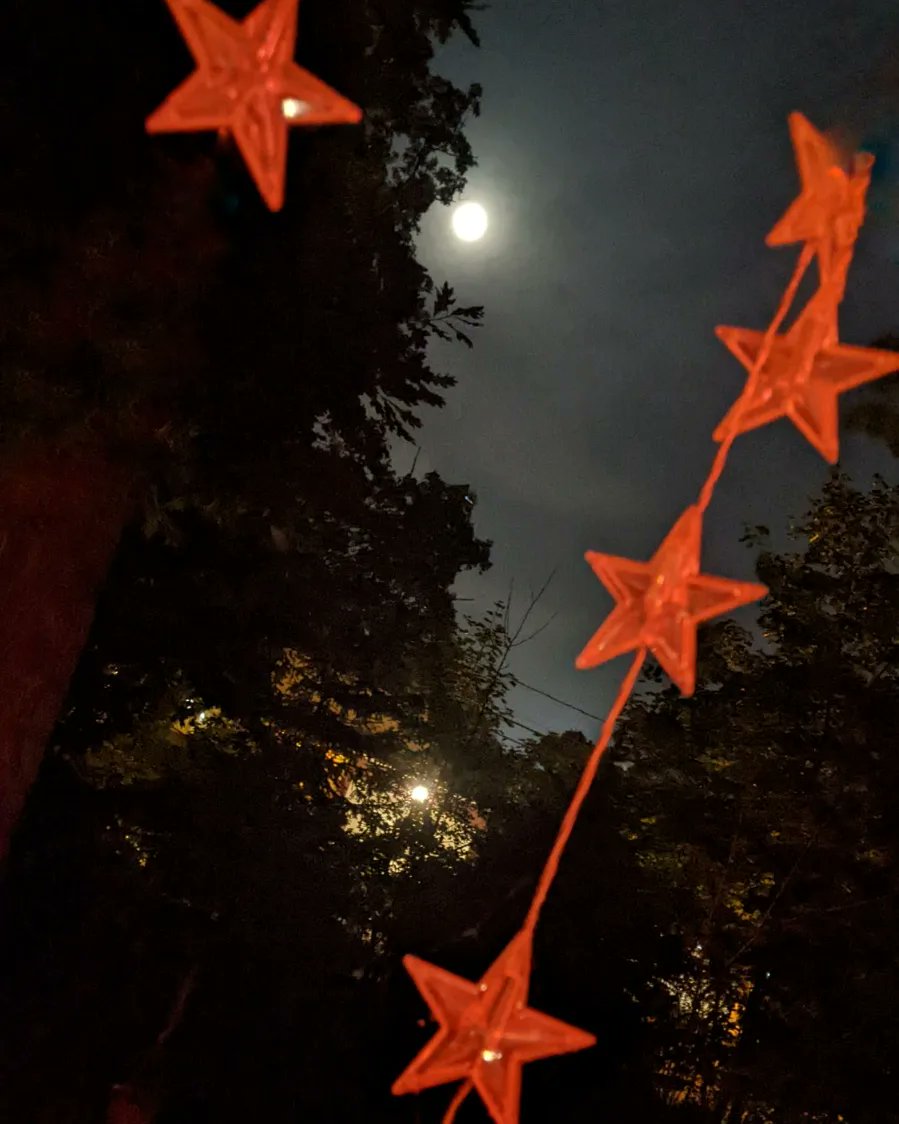 danielpsychic's tweet photo. Wishes were made upon last nights' Full Moon. The " Blessing Moon ". 2 Divination Cards fell to the floor tonight.   One was my double portrait of Kate Bush. The 6 Square/Science Card. Decades olde. The other, the " Orange Card ". Equally olde &amp; both goodly. I felt reassured... https://t.co/k4VcICCjGi