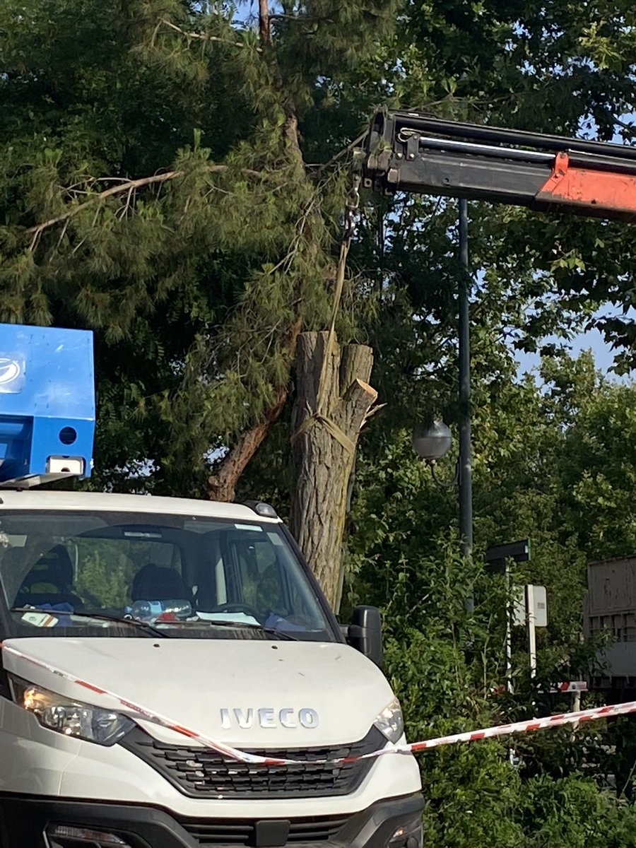 Andy M.S. tweet media