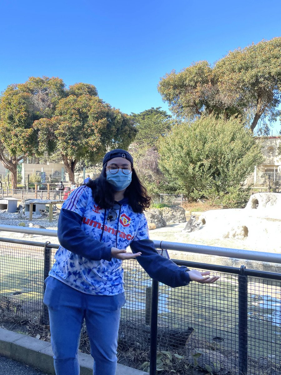 DaneSolancho's tweet photo. 📍1. San Francisco Zoo - CA

Would rate 8/10. Loved that they were receiving natural light and fresh air instead of being behind an exhibit glass. 

This was the first time I saw penguins in real life. https://t.co/S4SHUqiJoz