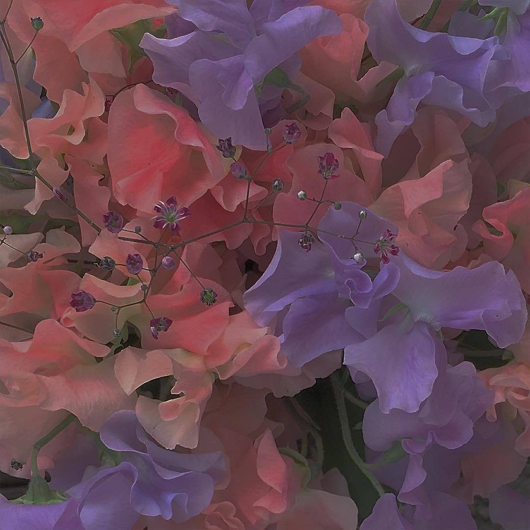 넓은꿈 (@wilwildream) on Twitter photo 