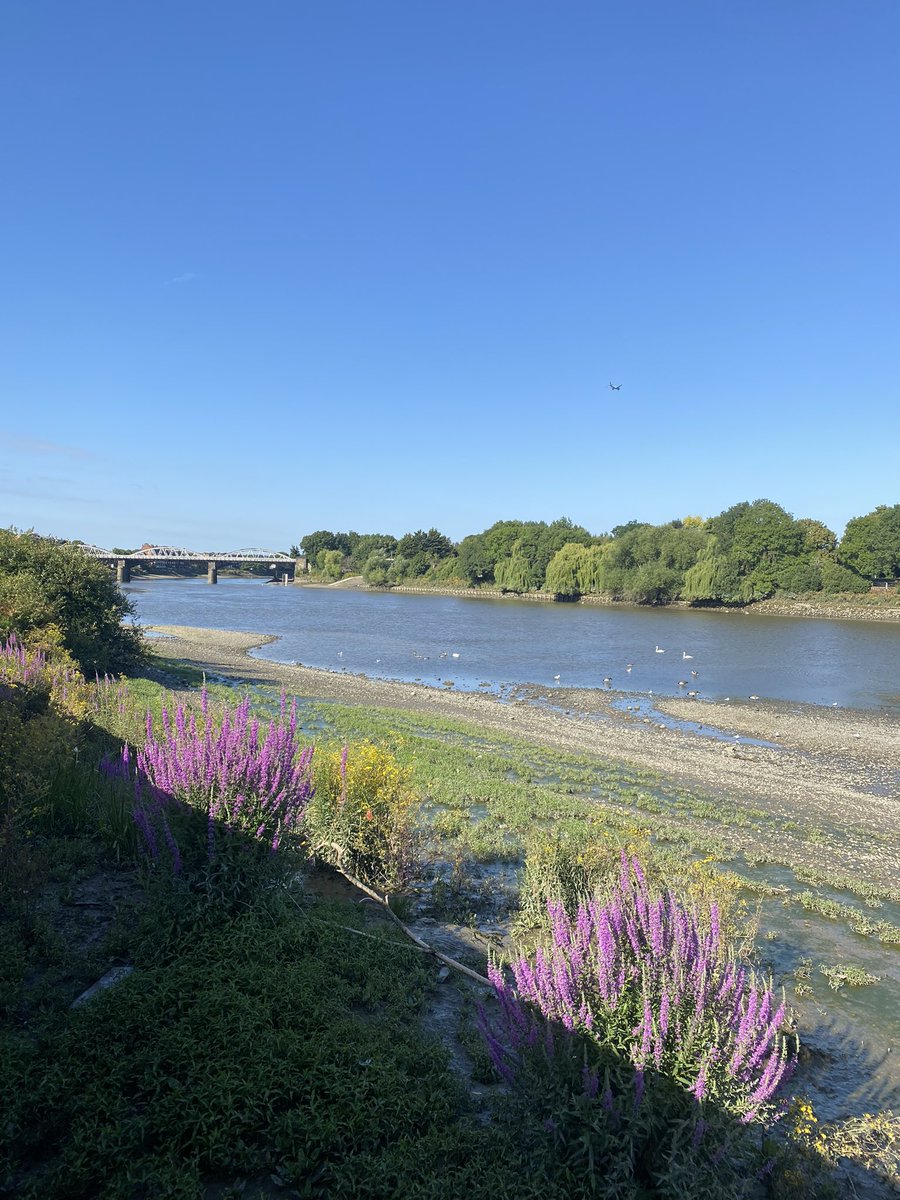 A nice gentle run before a less nice morning cat call 👎🏻