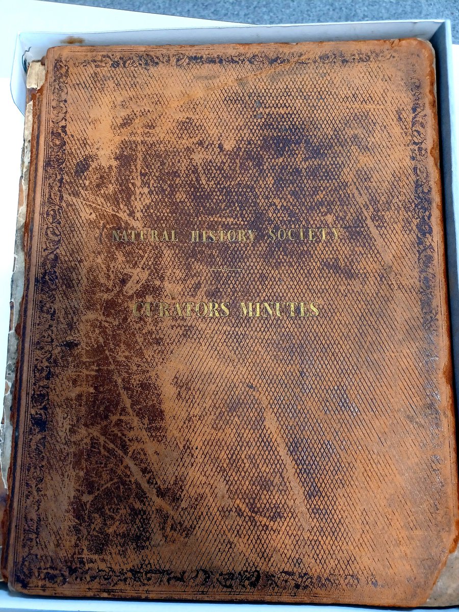 MuseumInsight's tweet image. A fascinating visit to the archives yesterday @UoMSpecColl