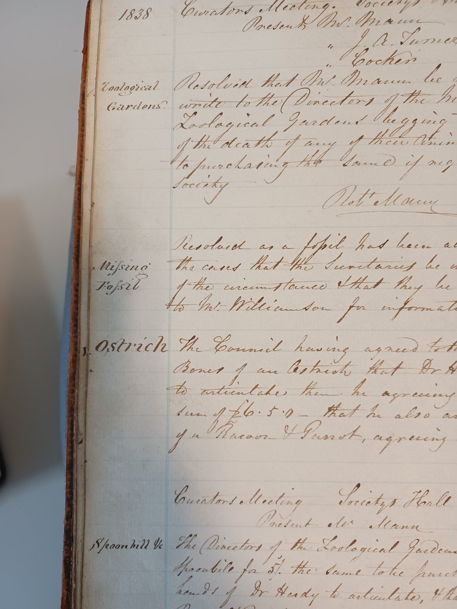 MuseumInsight's tweet image. A fascinating visit to the archives yesterday @UoMSpecColl