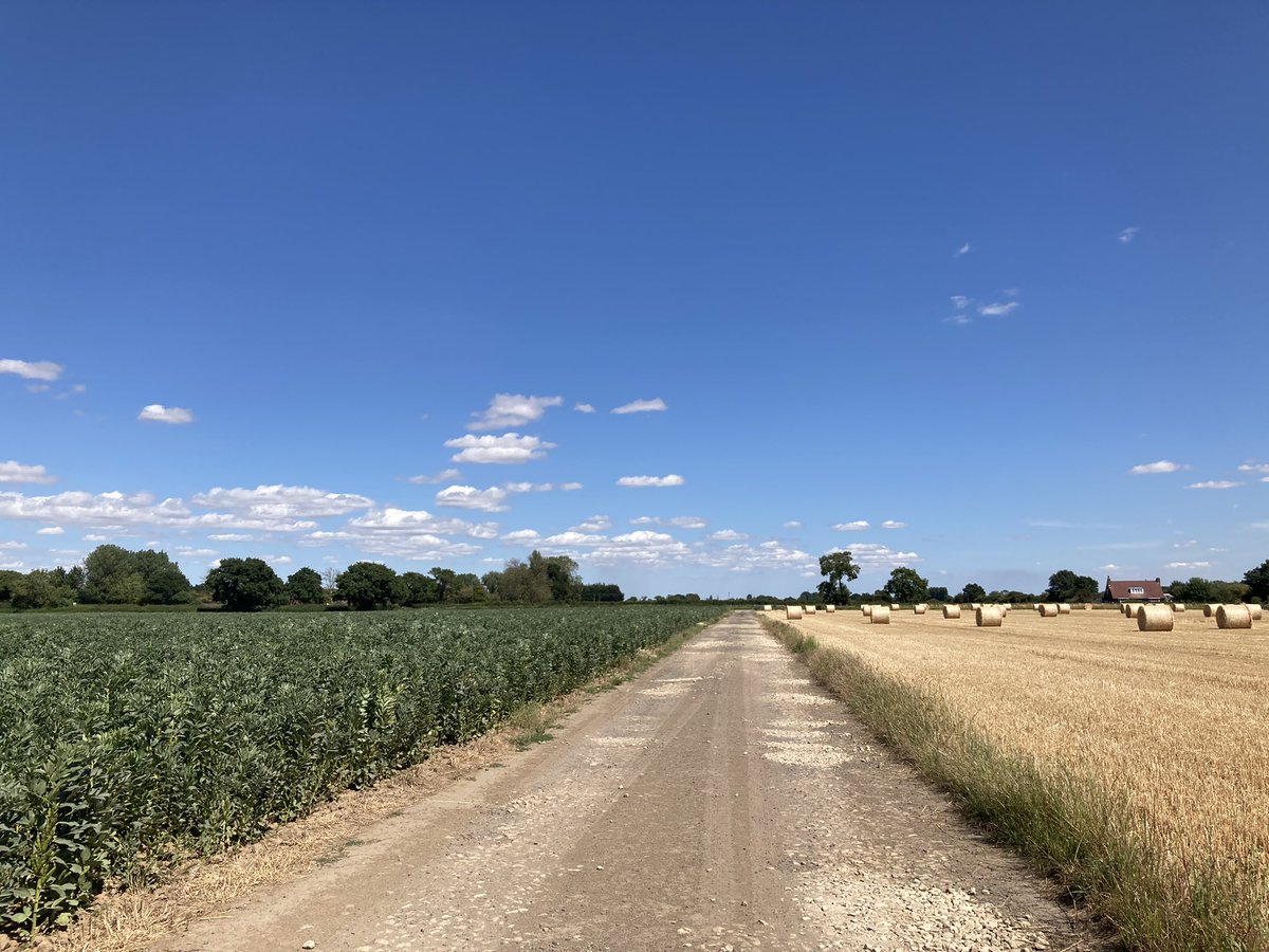 Jen Hartley tweet media