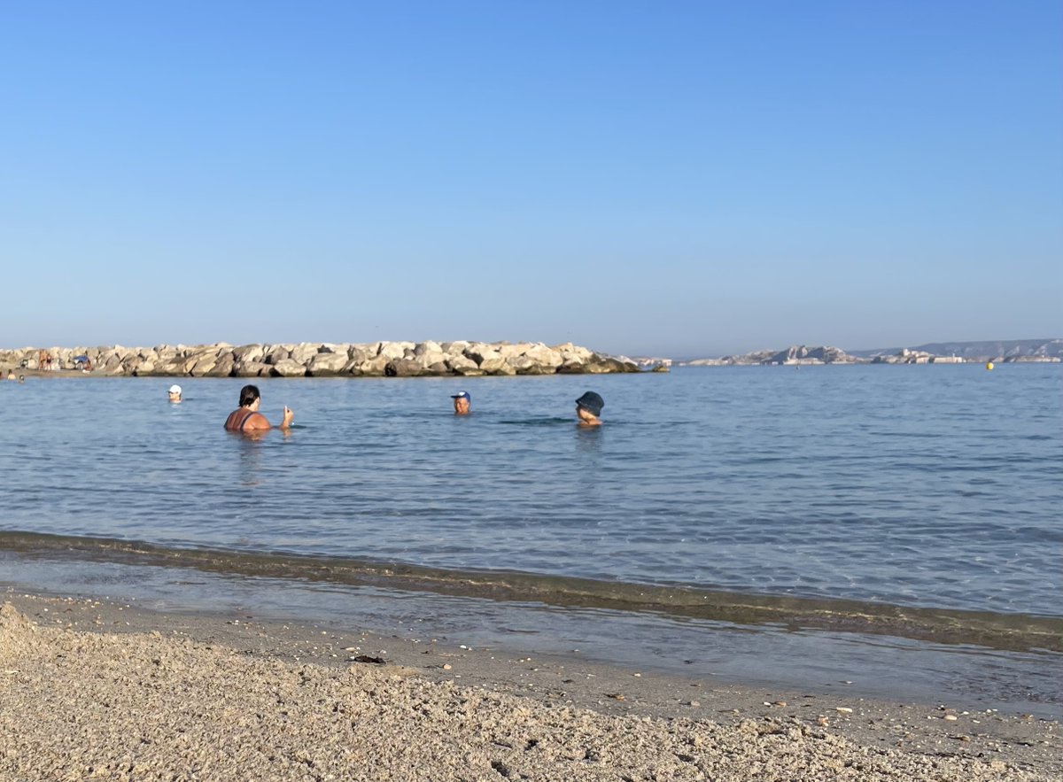 LaurentLhardit's tweet photo. Comme chaque année, votre élu en charge du #tourisme donne de sa personne pour accomplir sa mission :
Test ce matin des plages du Prado à 8h00 :
✅ peu de monde
✅ plein soleil 
✅ elle est bonne
#Marseille https://t.co/wK1KriF5rk