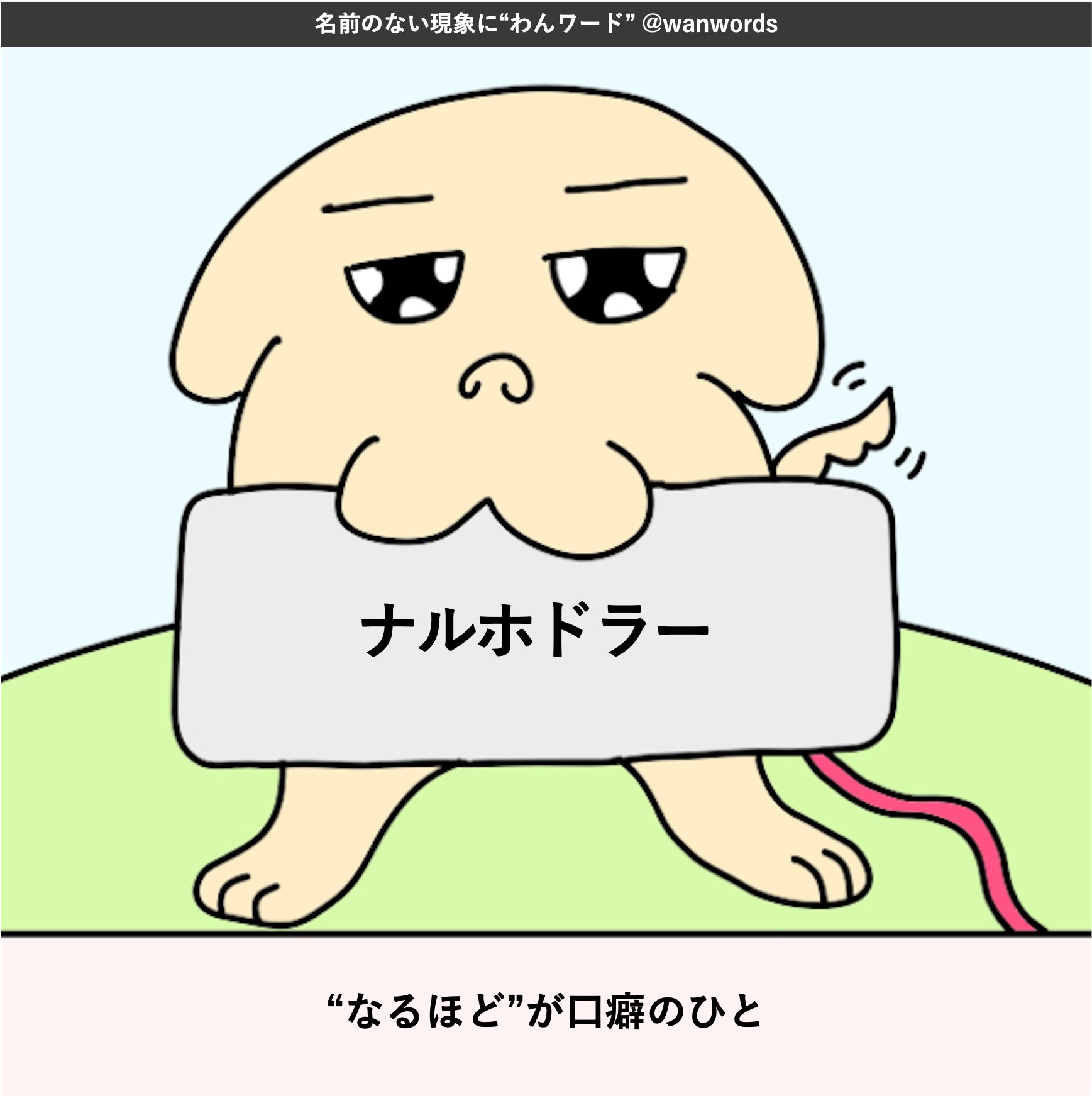 わんワード Wanwords Twitter