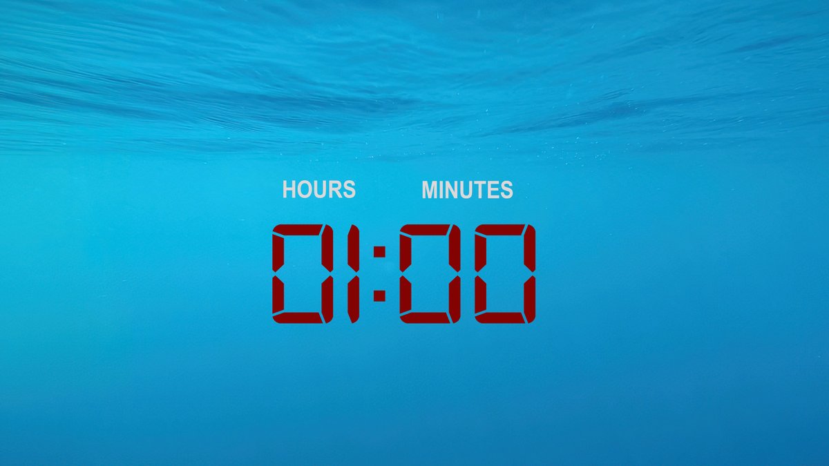 Dr Ingrid N. Visser (PhD) tweet media