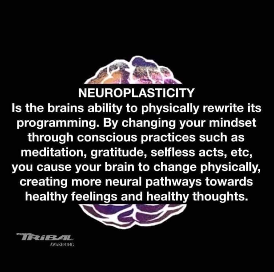 The brain is changing,adapting with every thought and experience throughout your life.

Through neuroplasticity,new experiences,the brain can  rewire itself by creating new neural networks and weakening existing old ones.

This is all done through repitition using new habits.🧠🌱
